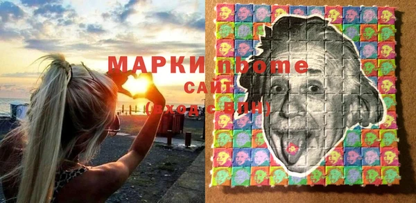 прущие грибы Горно-Алтайск