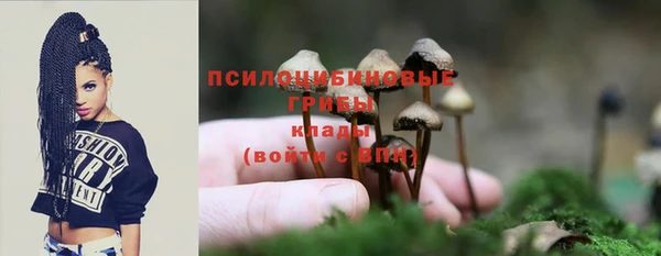 прущая мука Пестово