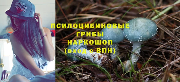 а пвп мука Горняк