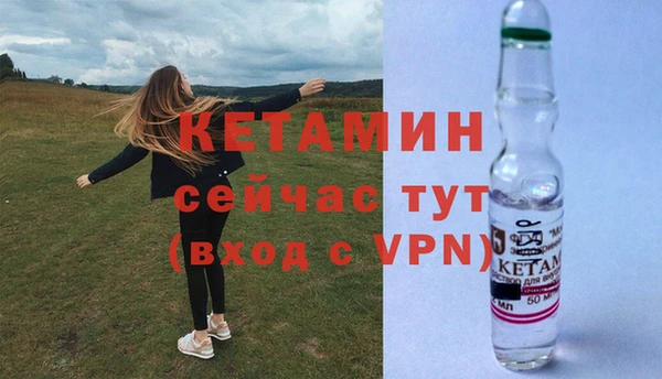 прущие грибы Горно-Алтайск
