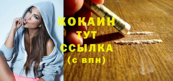 прущие грибы Горно-Алтайск