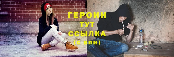 прущие грибы Горно-Алтайск