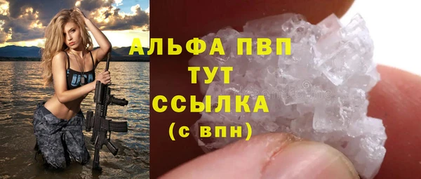 прущие грибы Горно-Алтайск