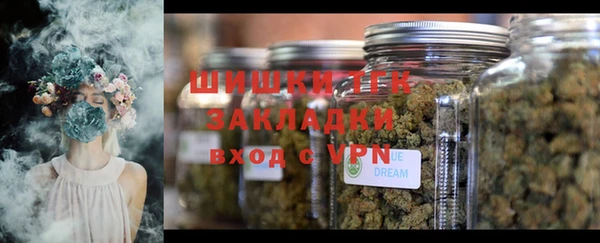 прущие грибы Горно-Алтайск