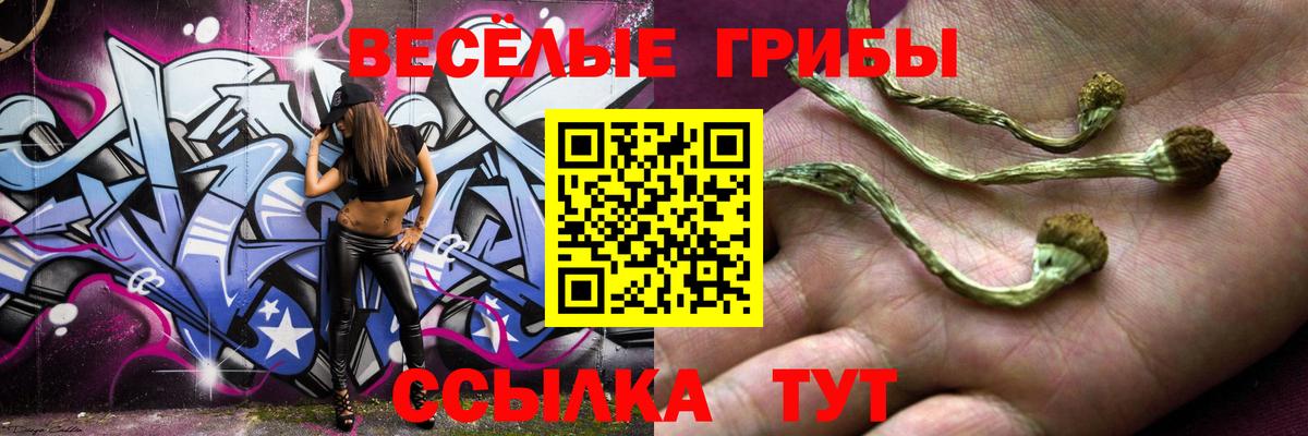 Галлюциногенные грибы мицелий  где продают   Отрадный  Вход с VPN 