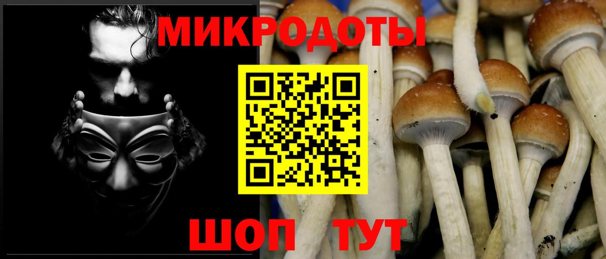 Псилоцибиновые грибы ЛСД Отрадный