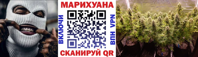 где купить   Отрадный  Бошки Шишки планчик 
