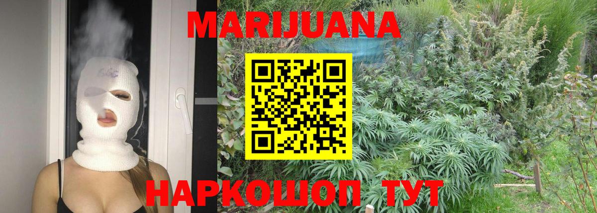 Бошки марихуана план  Конопля SATIVA & INDICA  Вход с VPN  Отрадный  Конопля гибрид 